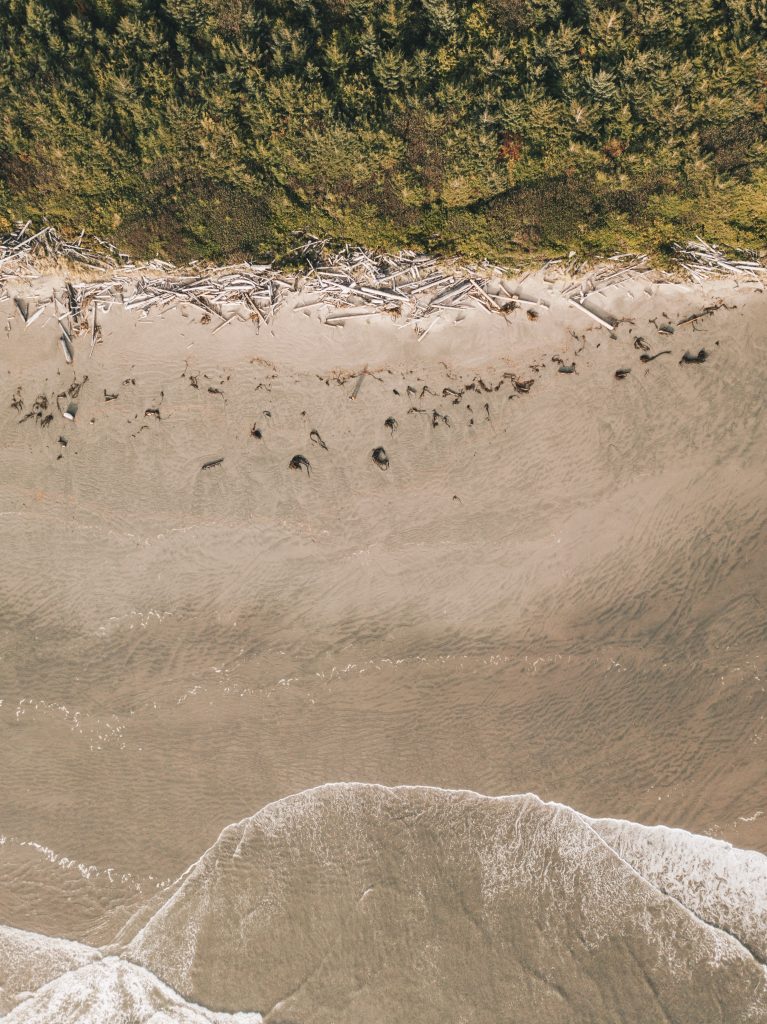 DJI_0019