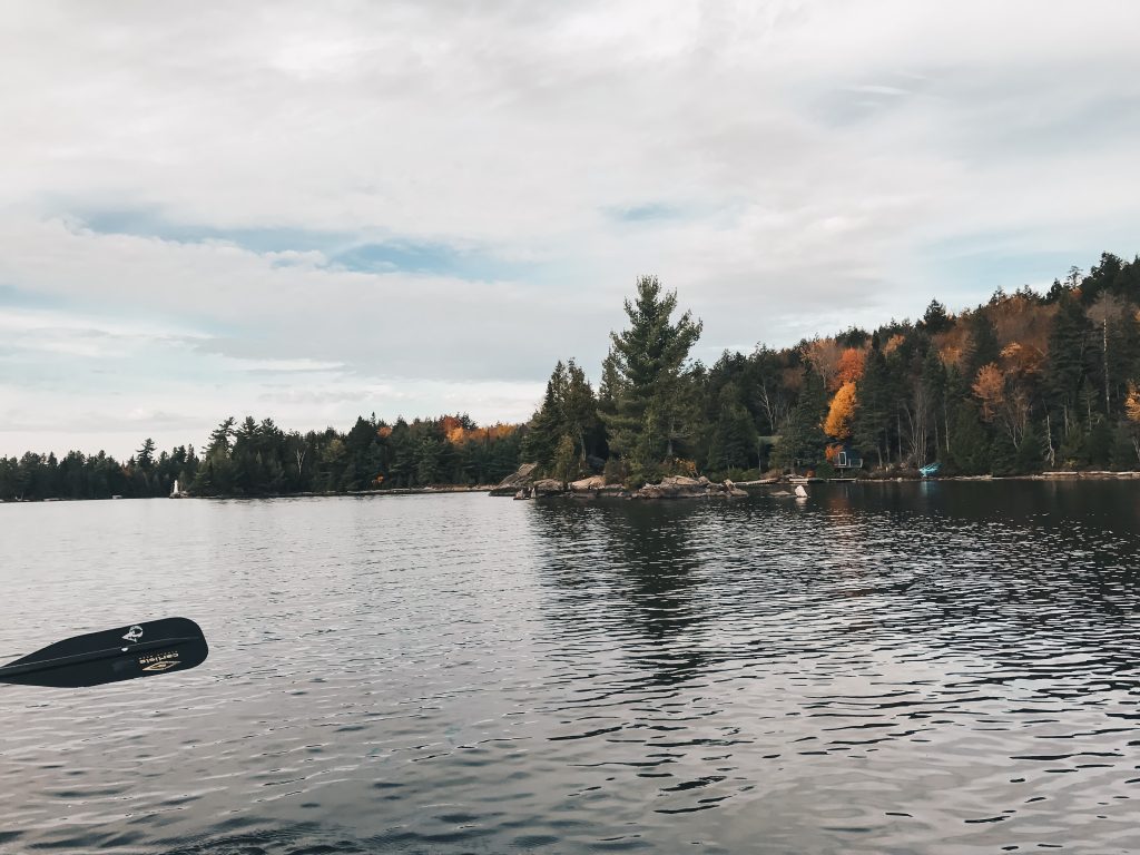 algonquin_002