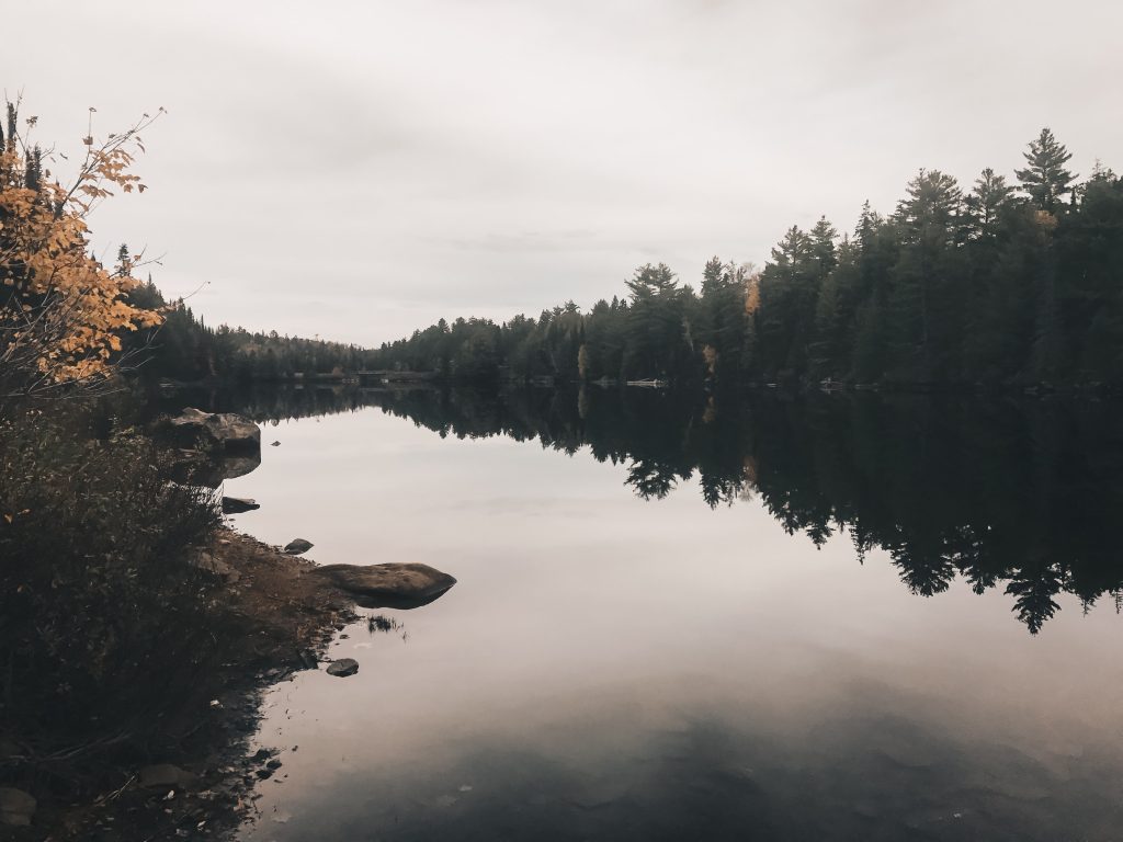 algonquin_010