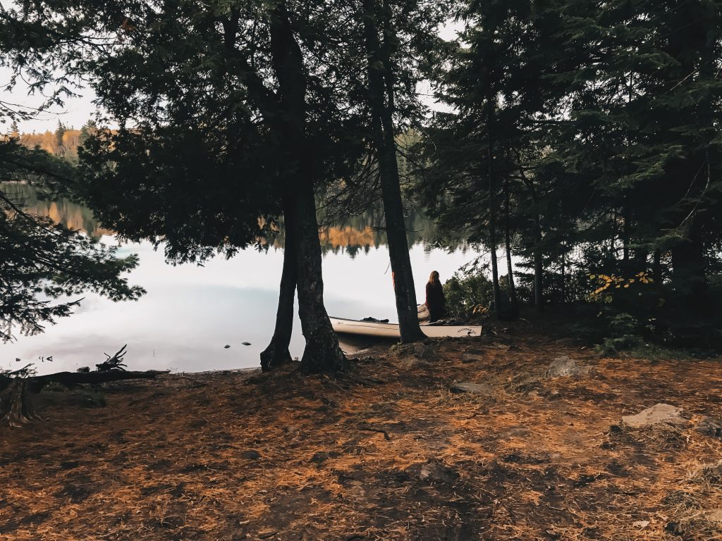 algonquin_012