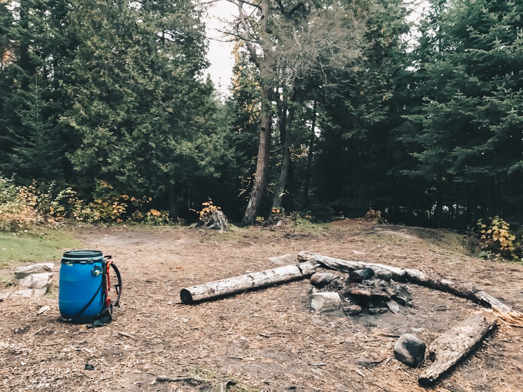 algonquin_013