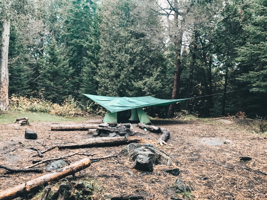 algonquin_2_006