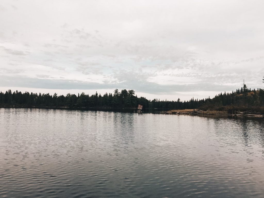 algonquin_3_005