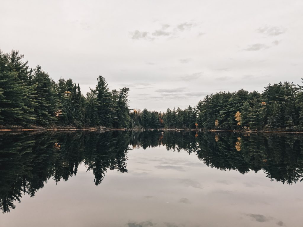 algonquin_3_007