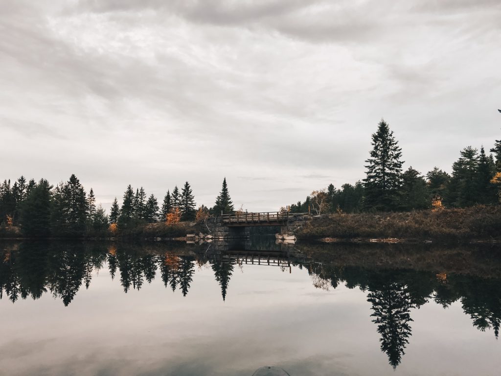 algonquin_3_008