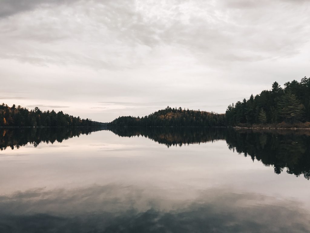 algonquin_3_009