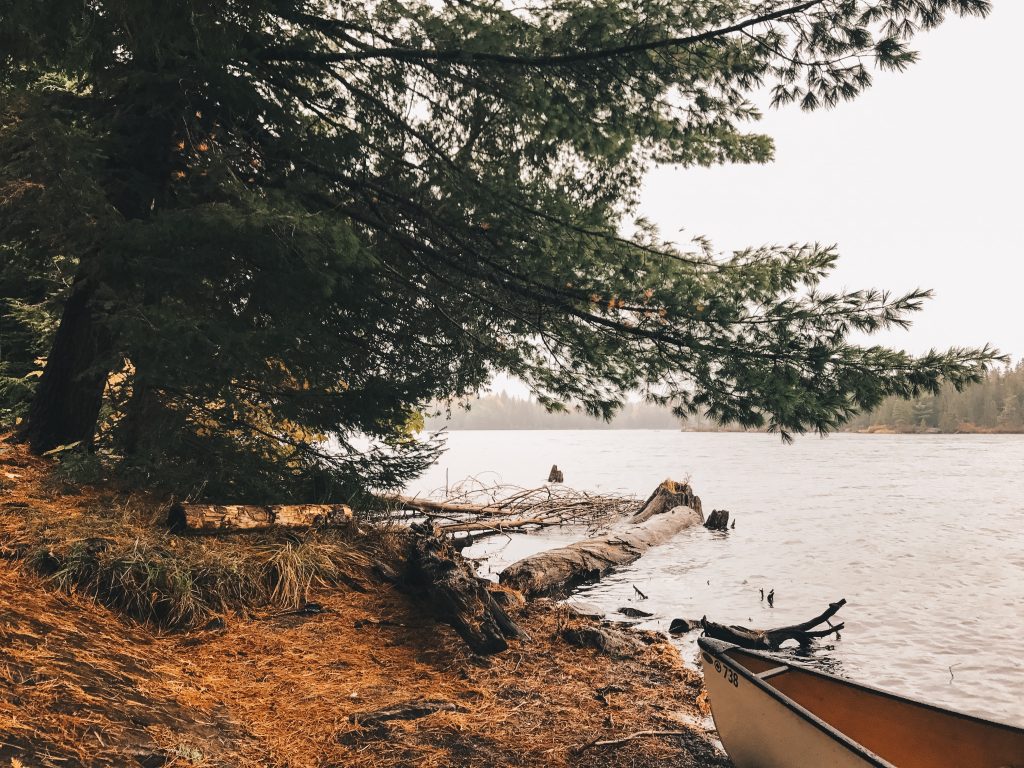algonquin_3_012