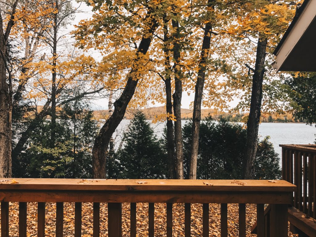 algonquin_3_013