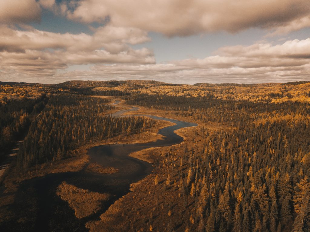 algonquin_4_012