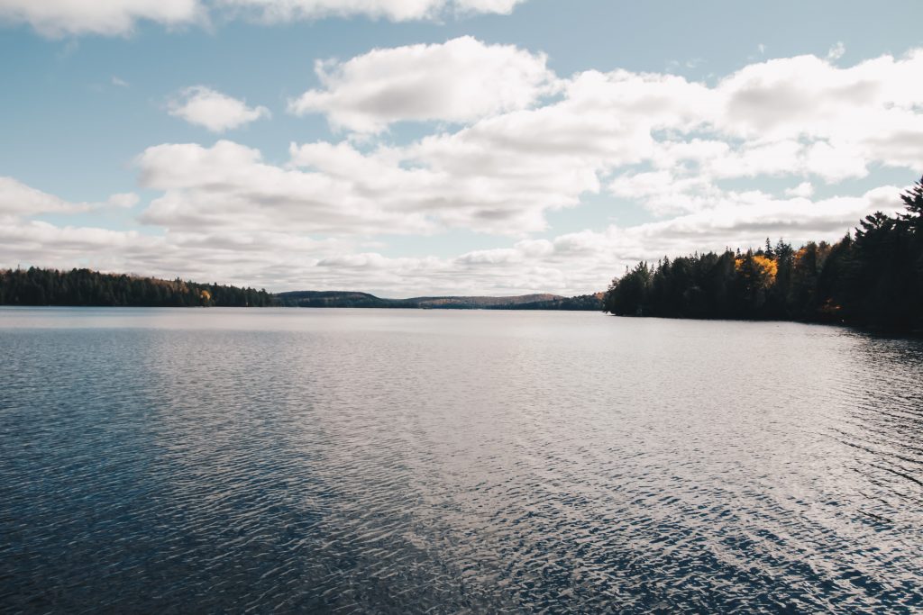 algonquin_5_002