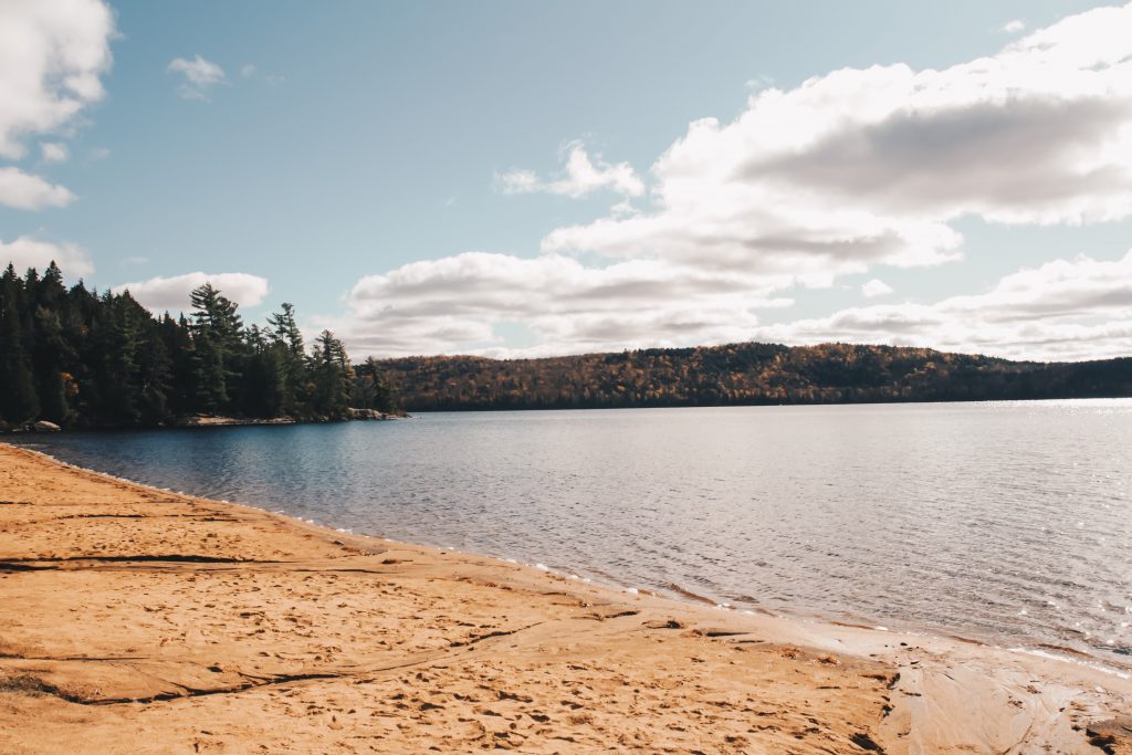 algonquin_5_012