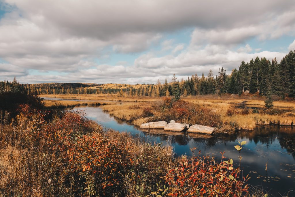 algonquin_5_014