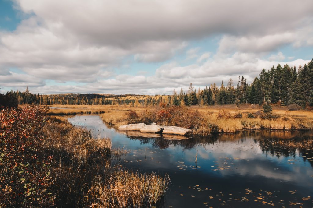 algonquin_5_015