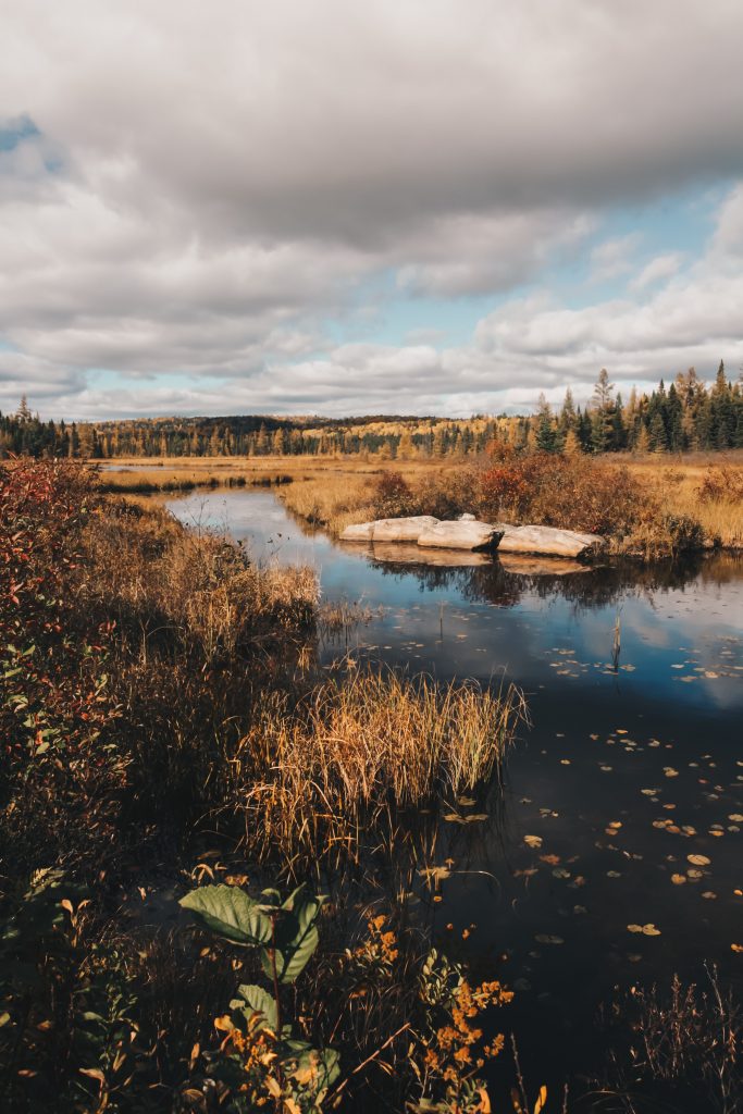 algonquin_5_016