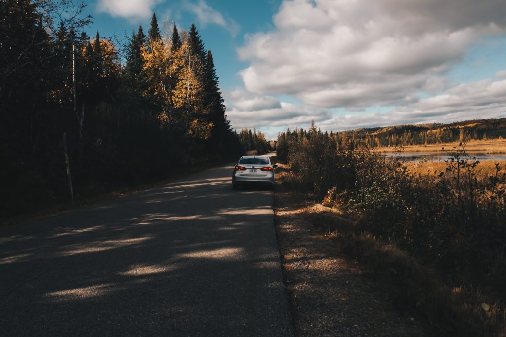 algonquin_5_017