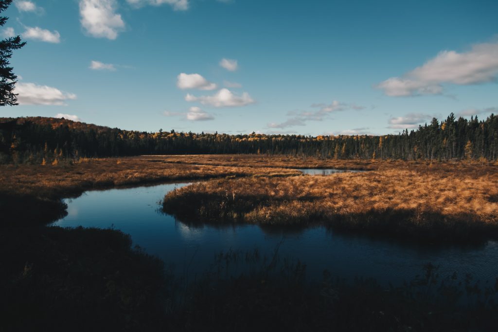 algonquin_5_020