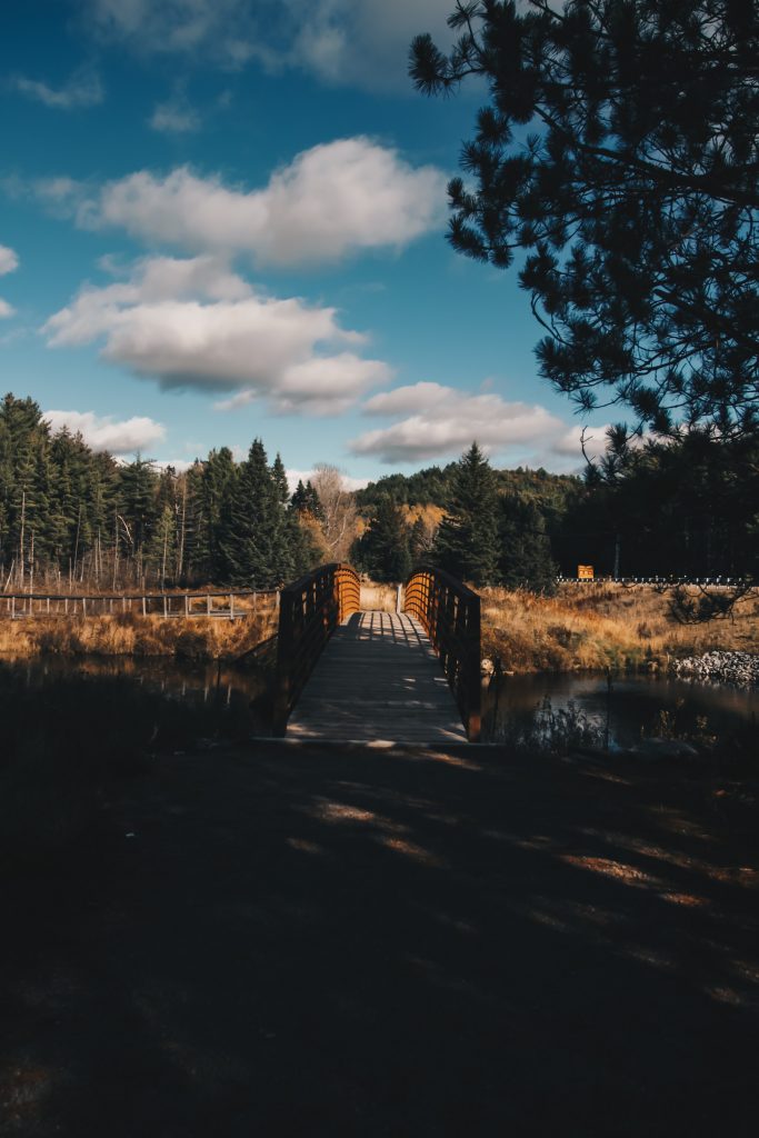 algonquin_5_021