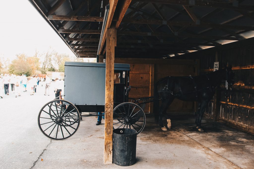 amish_006
