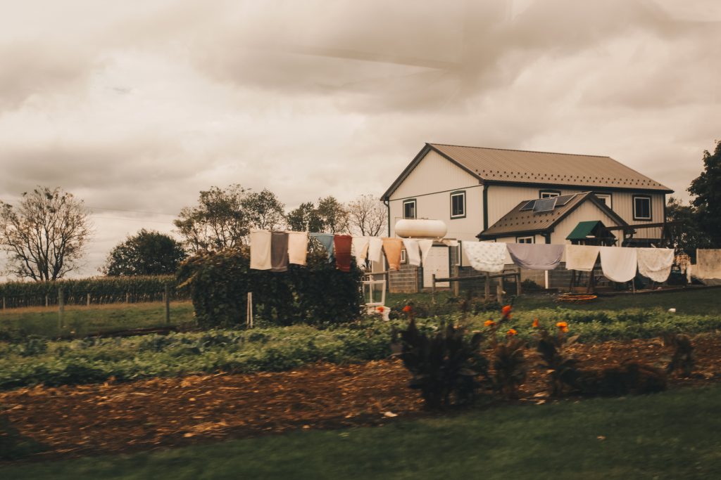 amish_010