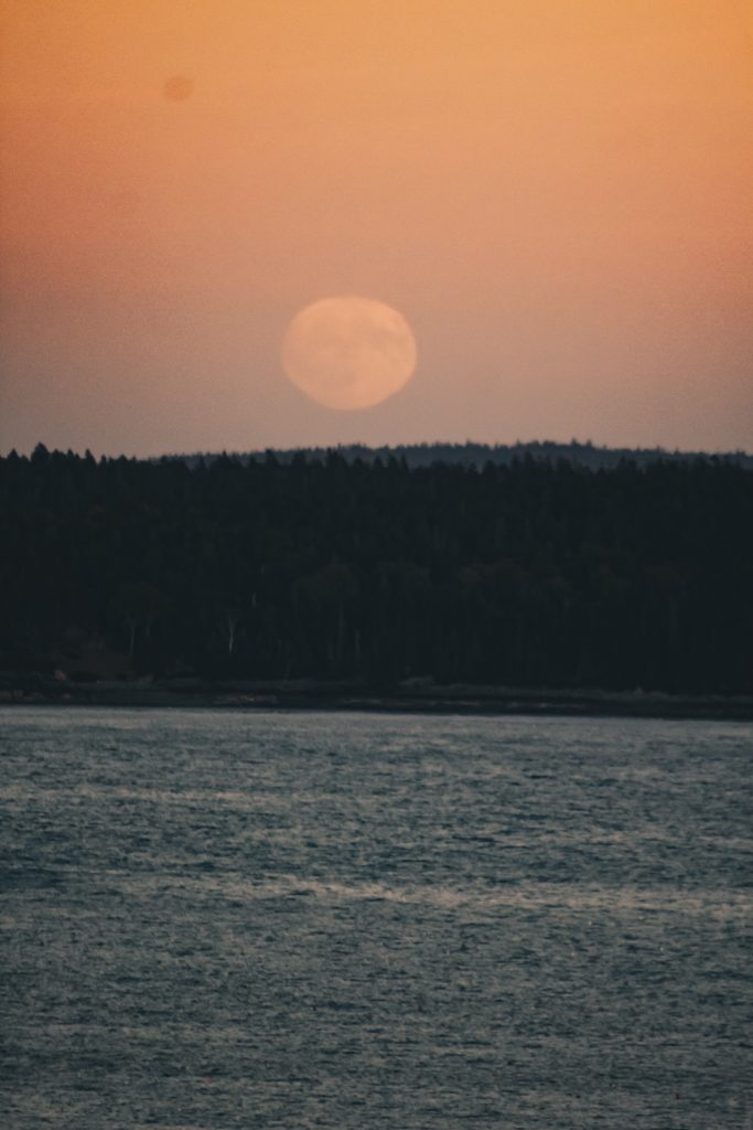 bar_harbor_048
