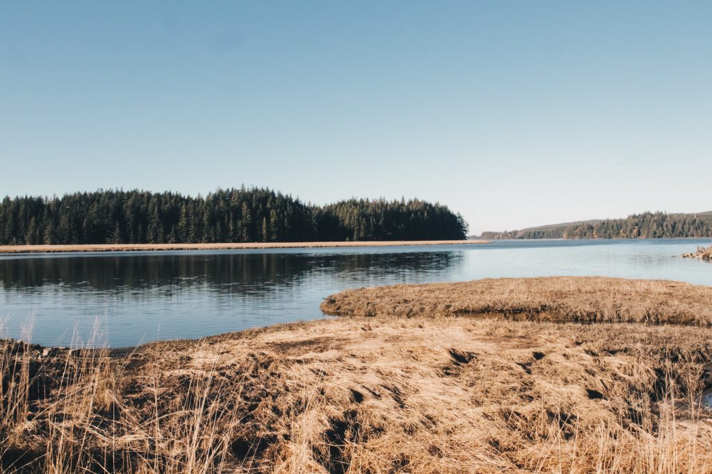 long_beach_001