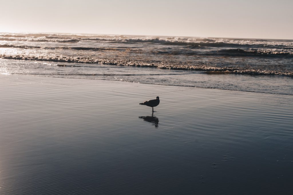 long_beach_005