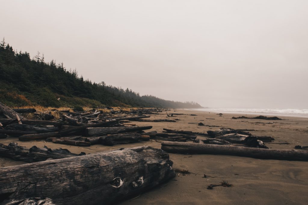long_beach_010