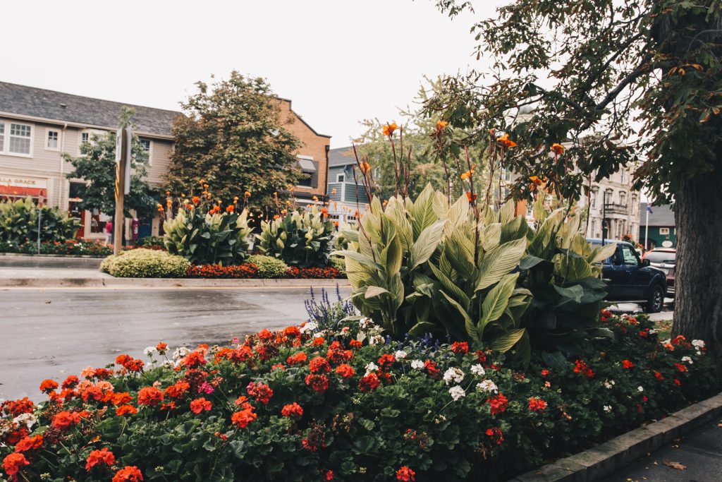 niagara_033