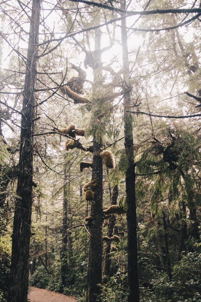 ucluelet_003