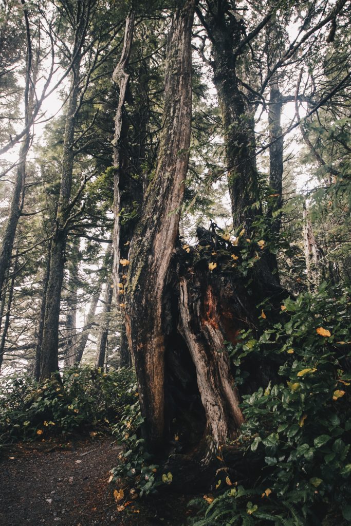 ucluelet_007