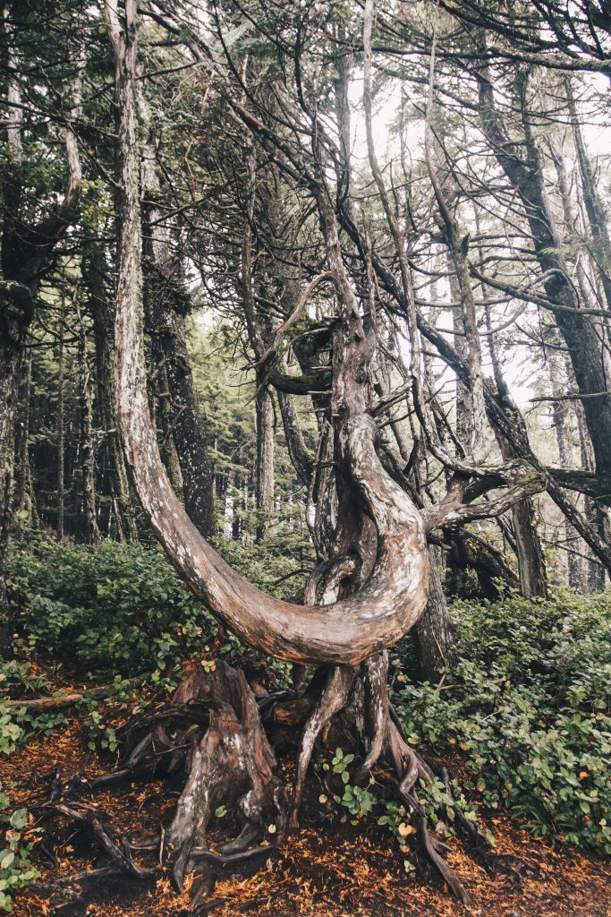 ucluelet_008