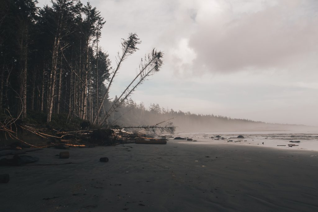 ucluelet_032
