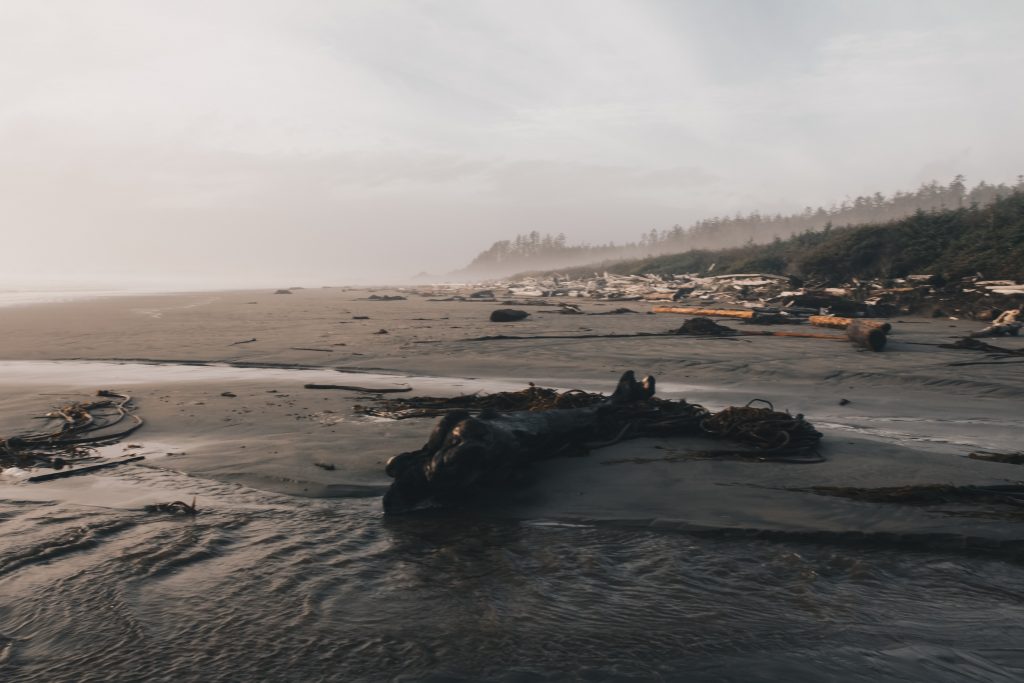 ucluelet_035