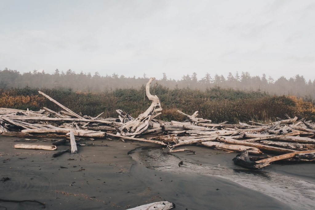 ucluelet_037