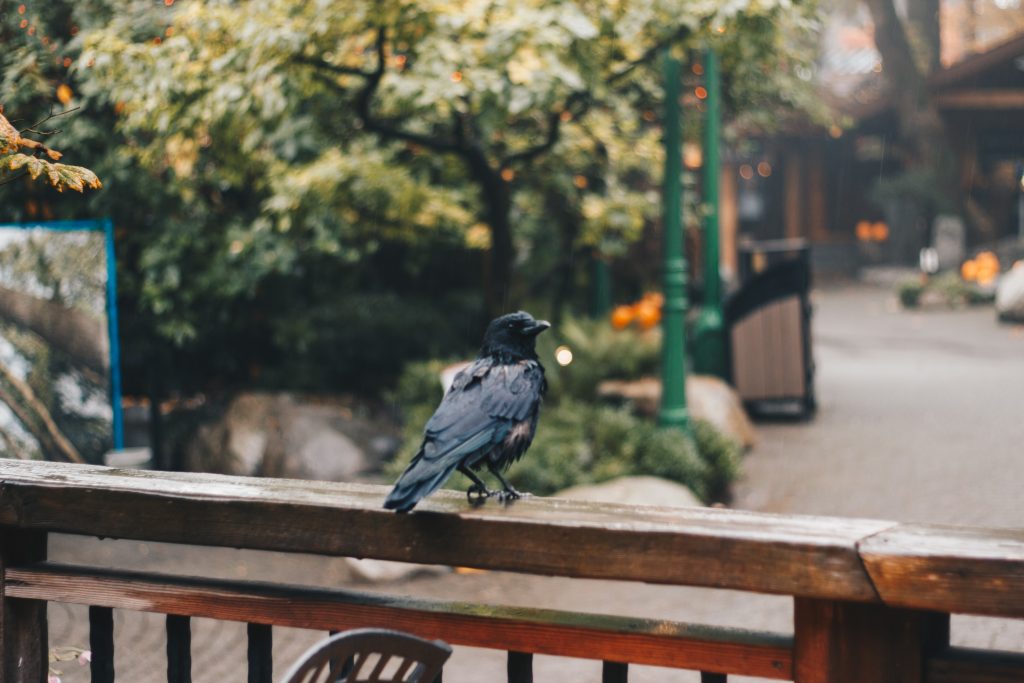 vancouver_1_014