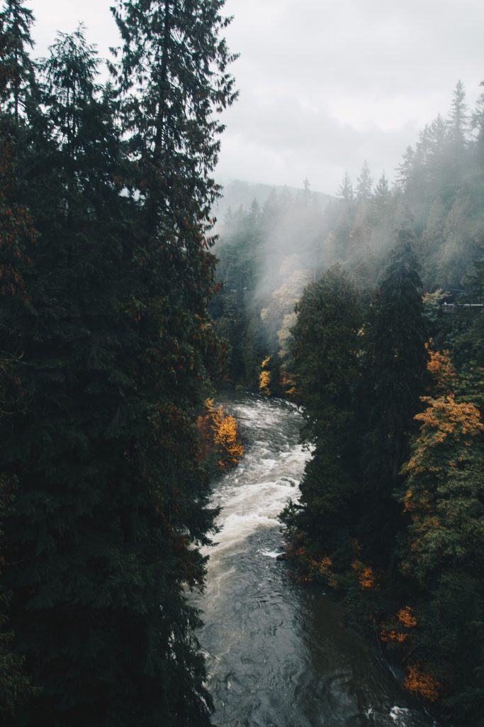 vancouver_1_020