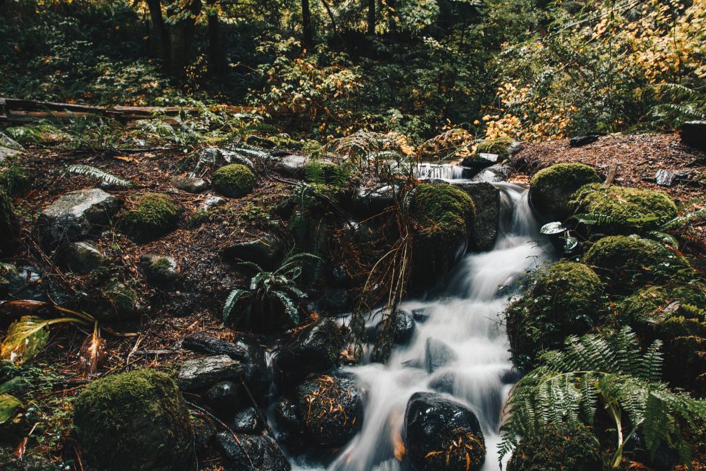 vancouver_1_025