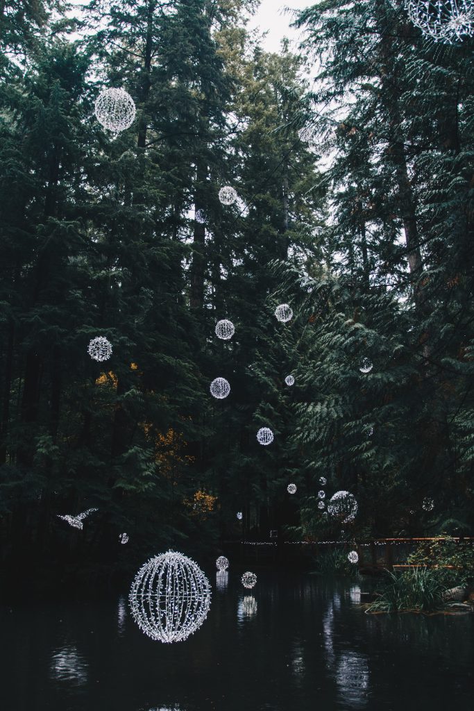 vancouver_1_028
