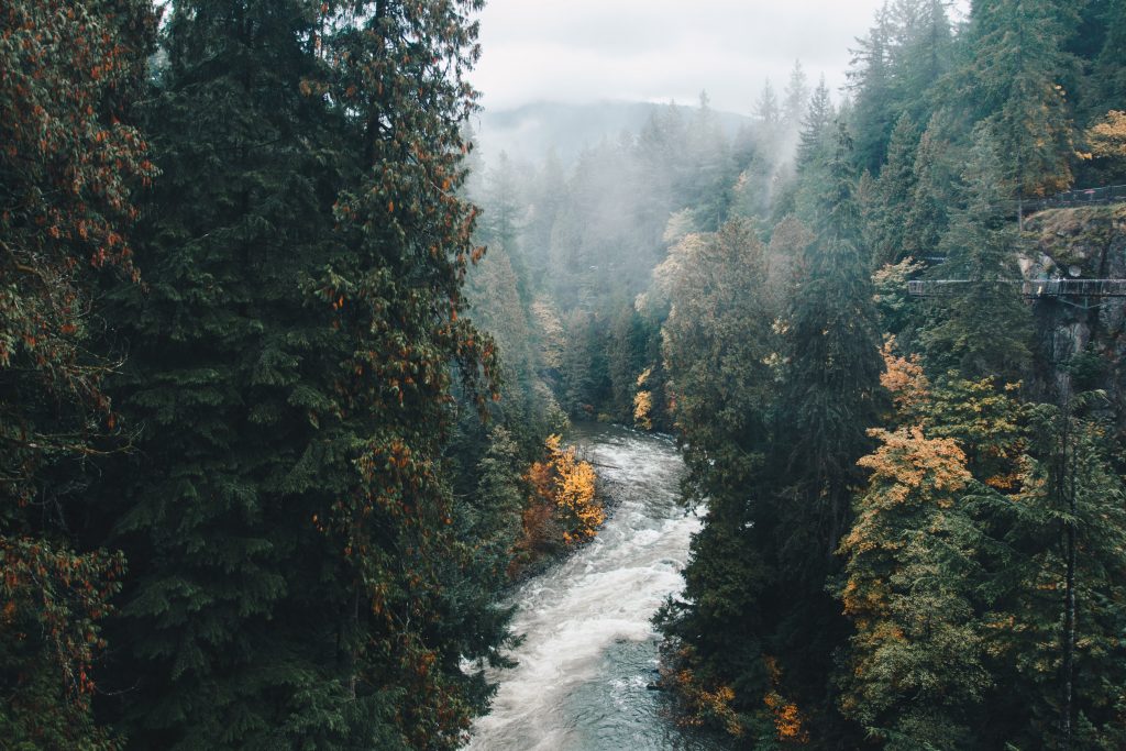 vancouver_1_036
