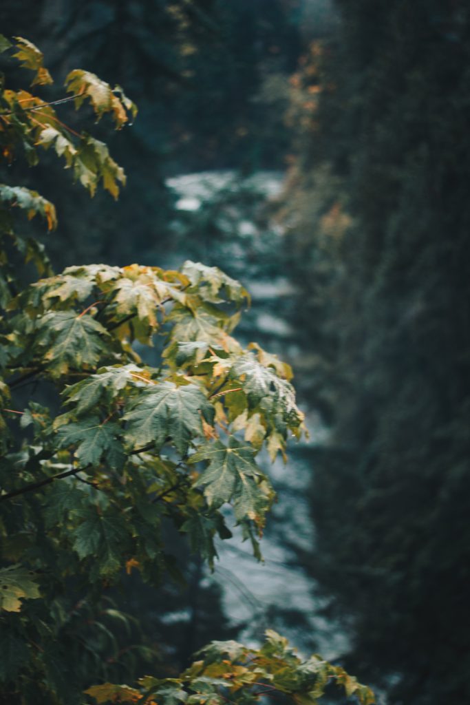 vancouver_2_011