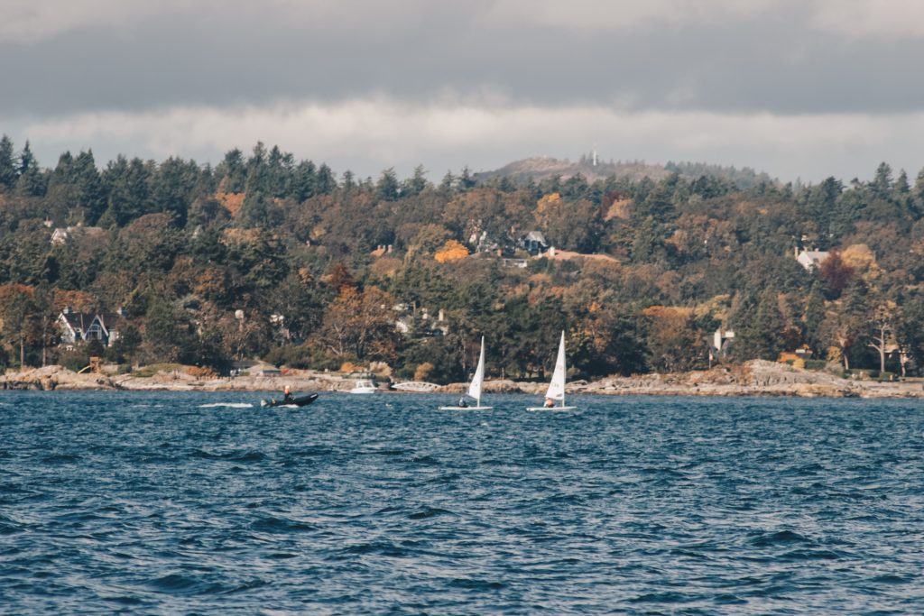 victoria_004