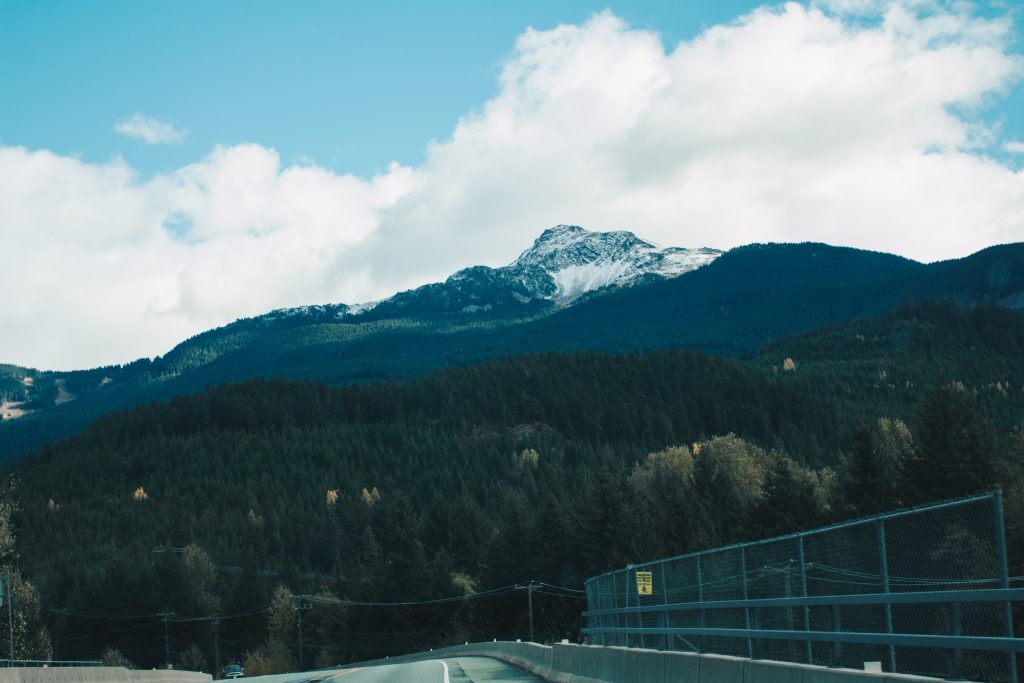 whistler_004