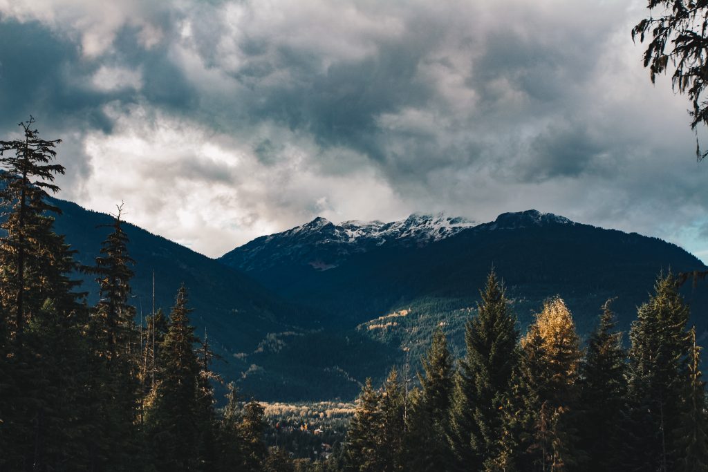 whistler_007