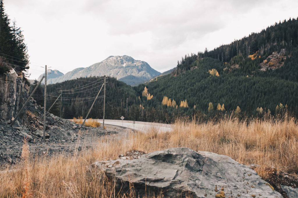 whistler_014