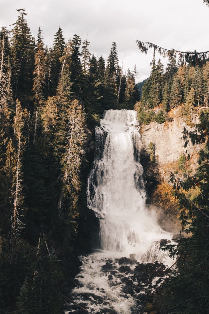 whistler_015