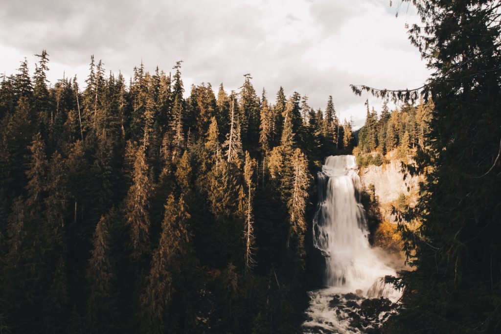 whistler_016