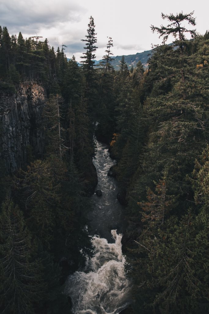 whistler_2_002