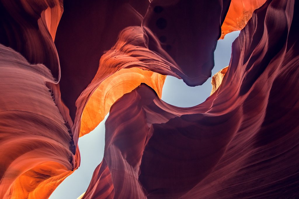 antelope_017