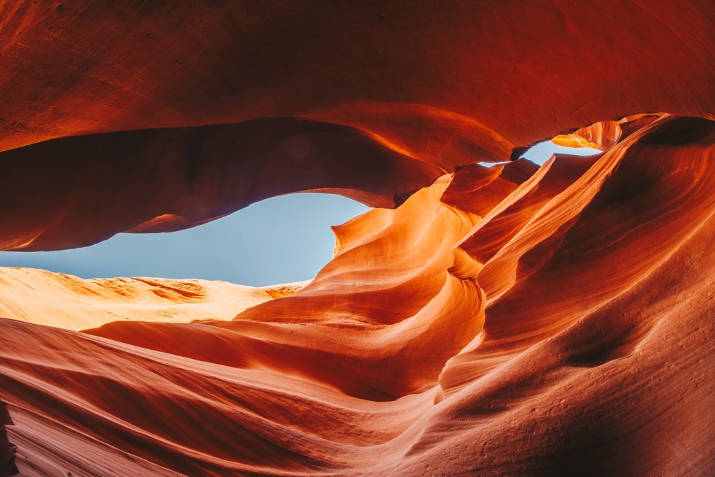 antelope_025