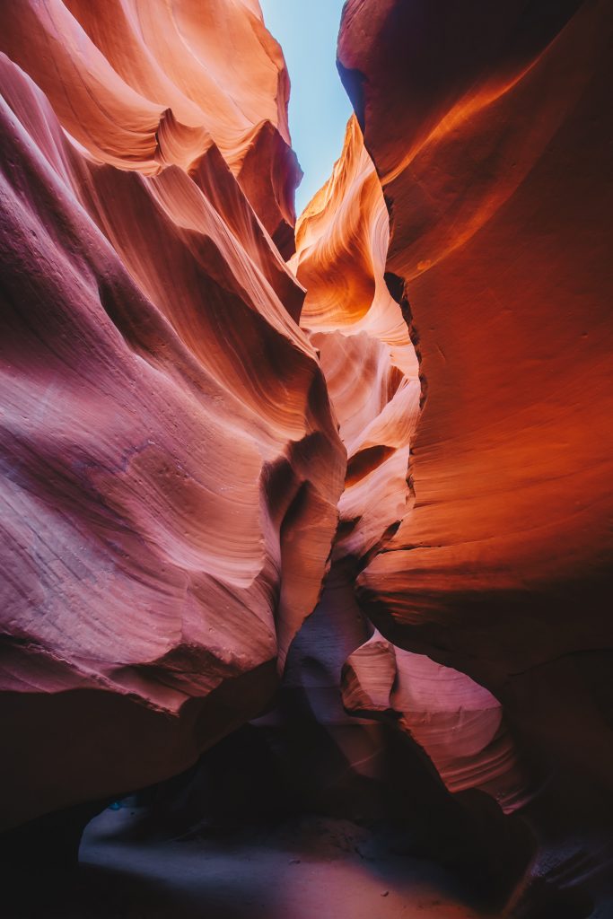 antelope_026
